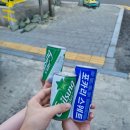 엘피하우스