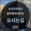 코리아부동산공인중개사사무소 이미지