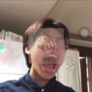 버디버디(주) | [체코 교환학생cz] 출국 전 준비(2) VSB 기숙사, 버디 BUDDY 신청, 보험 가입, 항공권 구입 등