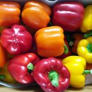 시온농장 이미지