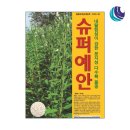 슈퍼예안 - 내탈립성이 강한 분지성 다수확 참깨