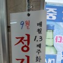 최고네코다리 이미지