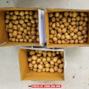 (주)설악주유소 이미지