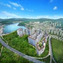 숲속의아침3 이미지