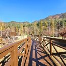 예쁜마음 마음글씨 이미지