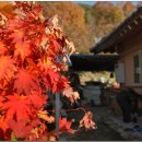 피아골민박 이미지