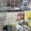 프리펫시티 이미지