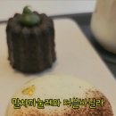 바닐라크레뮤