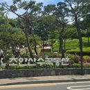 맑은동산 | 서울 가볼만한 곳 노원 초안산수국동산 솔직 후기 주차 무료 어른 아이