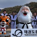 당진태권도 이미지