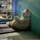 여기카페 이미지