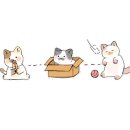 청학 승마클럽 이미지