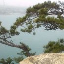 대왕바우 이미지