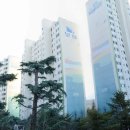 2차보성 이미지