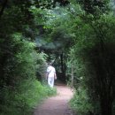 봉제산 오리나무쉼터 이미지