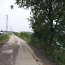 고촌농로 이미지