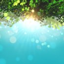 (주)에이플러스 이미지