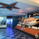 찬일민박 이미지