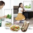 서우농장 이미지