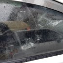 비 앤드 디테일링 이미지