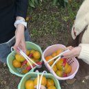 성산농장 이미지