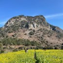 스테이숲이되는시간 이미지