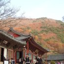 표충사 - 1903 | 표충사