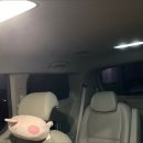 더반디 이미지