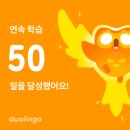 대덕문고 | 3월 일상 조각