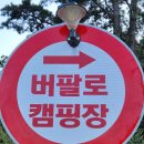 강화 버팔로 캠팜 티스토리