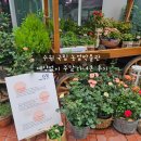 수원 아이랑 가볼만한곳 국립농업박물관 예약없이 주말 다녀온 후기!