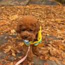 견복궁 | 마요 방문교육 후기 (ft.견복궁)