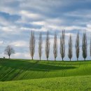 마디쌩쌩신경외과의원 이미지