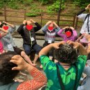 동남구치매안심센터 | 천안시 동남구 치매안심센터, 치매 어르신 대상 산림치유 프로그램 운영