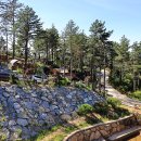 영암곤충박물관 이미지