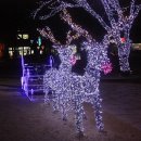 거북공원 이미지