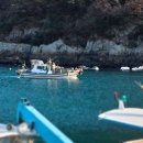 파랑새펜션 이미지