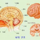 아이교육 이미지