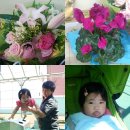 별들가요방 | [갑상선암 수술/임파선 전이] 갑상선유두암 수술 받던 날....길기만 했던 수술시간...ㅠ