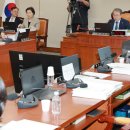 국회에 스컹크 한 마리의 악취 이미지
