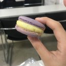 종암동마카롱 네이버블로그