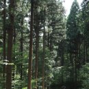 숲속농원민박 이미지