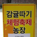 감귤박물관 위 이미지