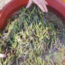 남원읍-24 이미지