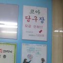 코아 당구장 이미지