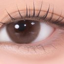 다비치안경 도곡역점 이미지