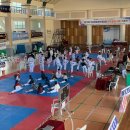 경성태권도 이미지