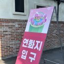 2025 김천 연화지 벚꽃 실시간 개화상황 주차 푸드트럭 후기