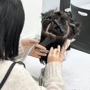 헤어미용(심화실전) 이미지