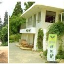 Holly Shop 이미지